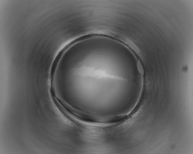 X0000091501028200708161454