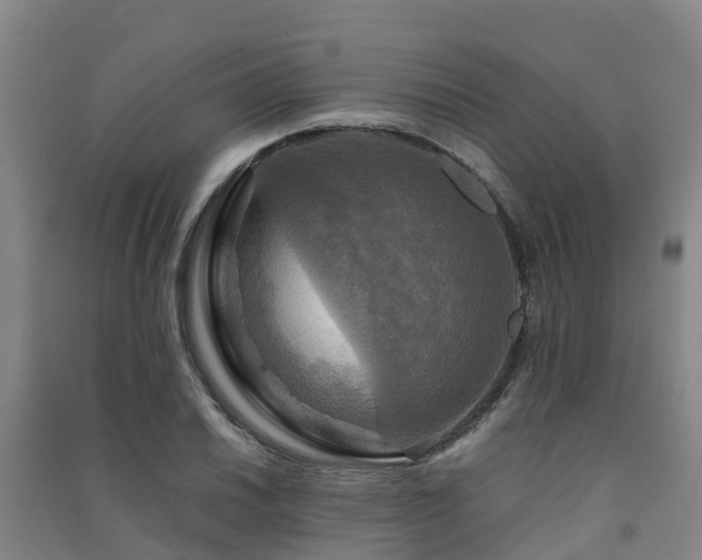 X0000091501030200708161454