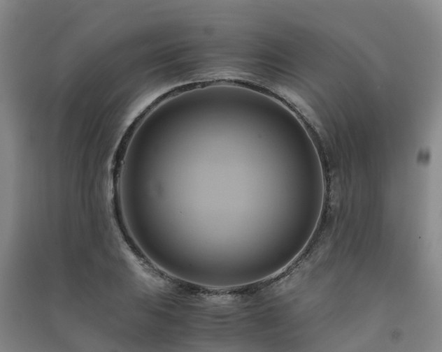 X0000091501031200708161454