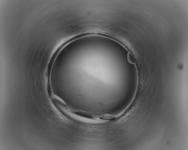 X0000091501032200708161454