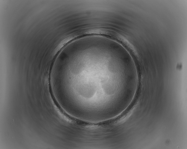 X0000091501033200708161454
