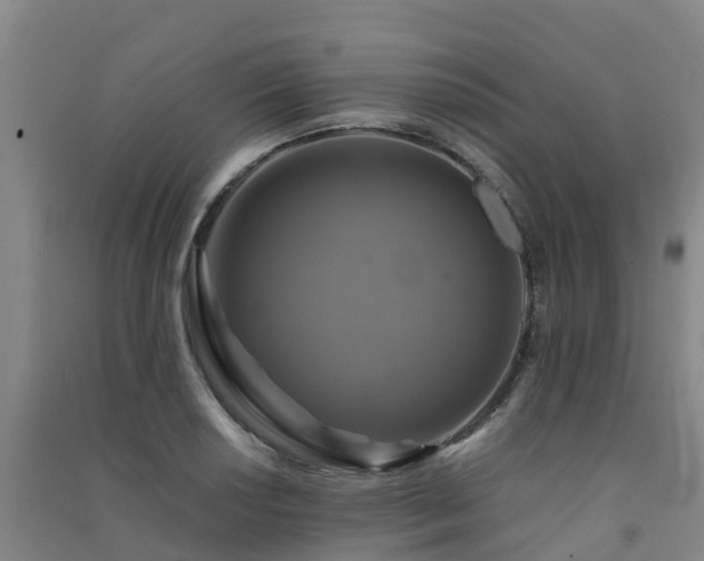 X0000091501034200708161454