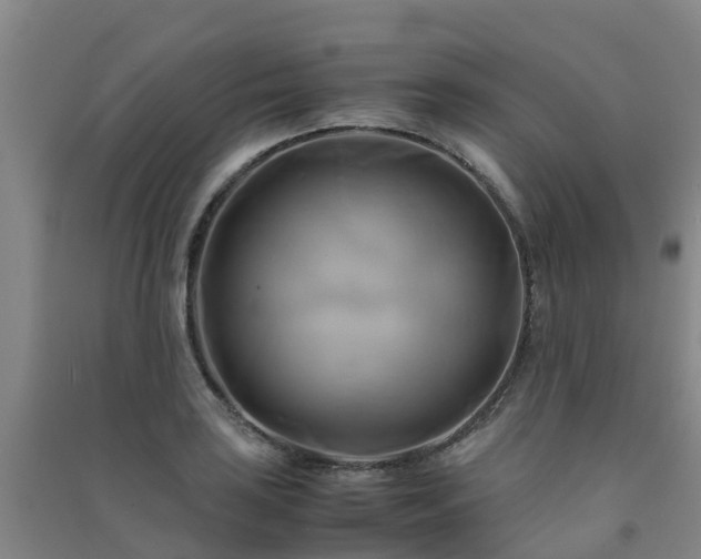 X0000091501035200708161454
