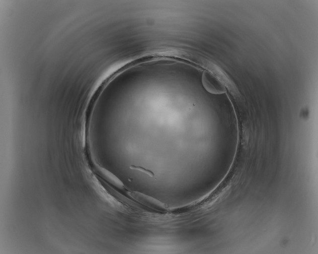 X0000091501036200708161454