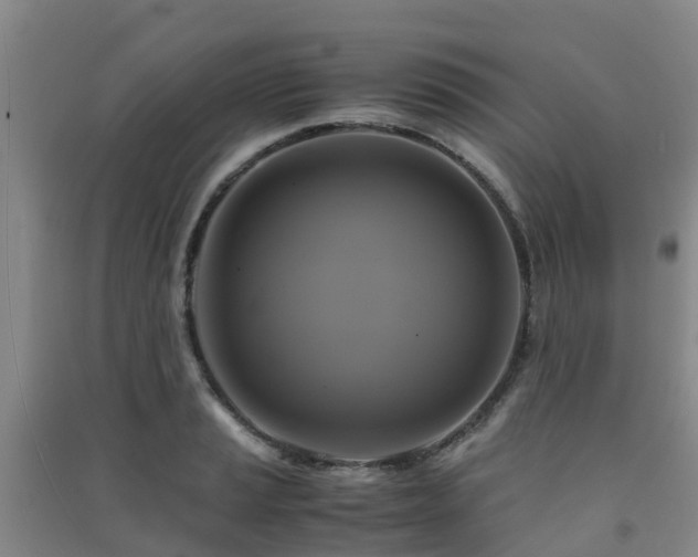 X0000091501037200708161454