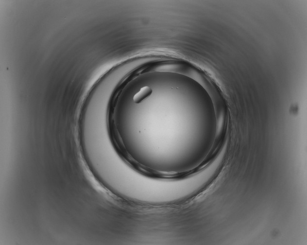 X0000091501038200708161454