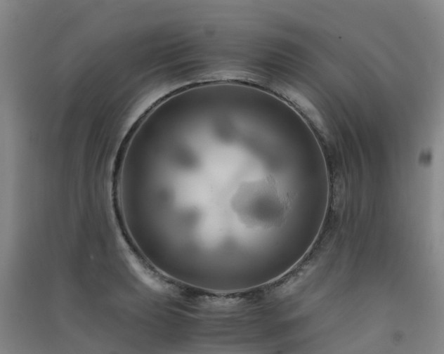 X0000091501039200708161454