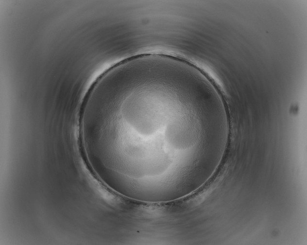 X0000091501040200708161454