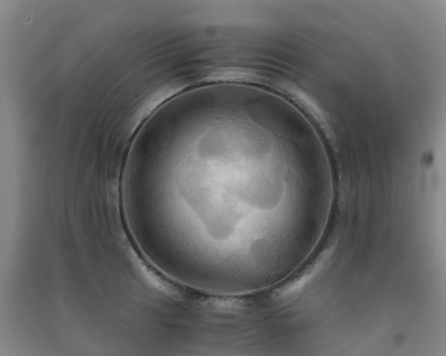 X0000091501041200708161454
