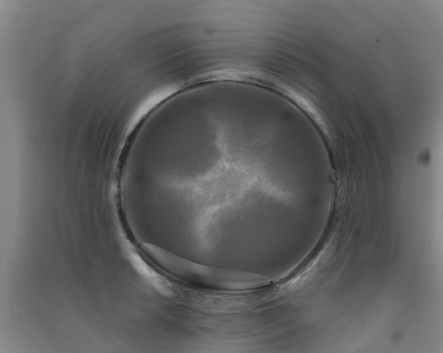 X0000091501042200708161454