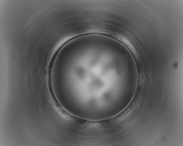 X0000091501043200708161454