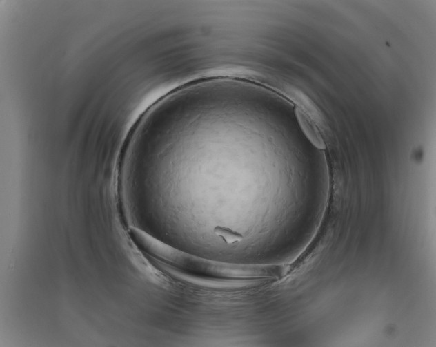X0000091501044200708161454