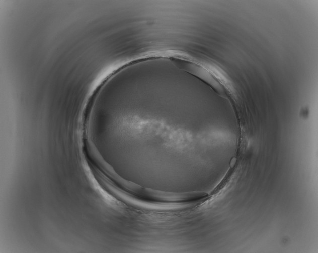 X0000091501046200708161454