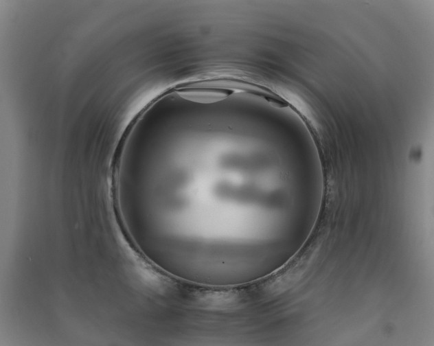X0000091501047200708161454