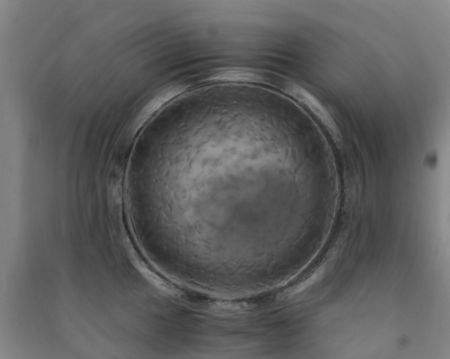 X0000091501049200708161455