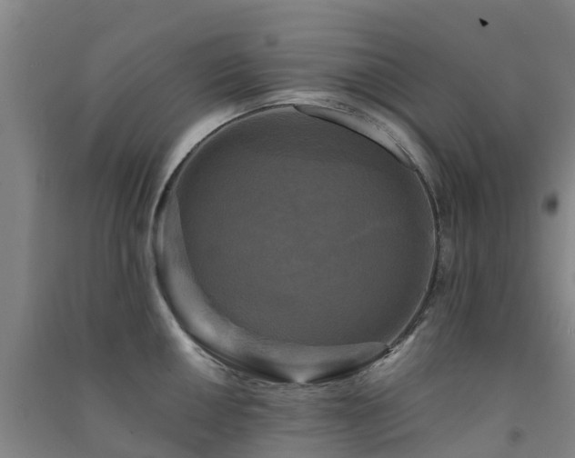 X0000091501050200708161455