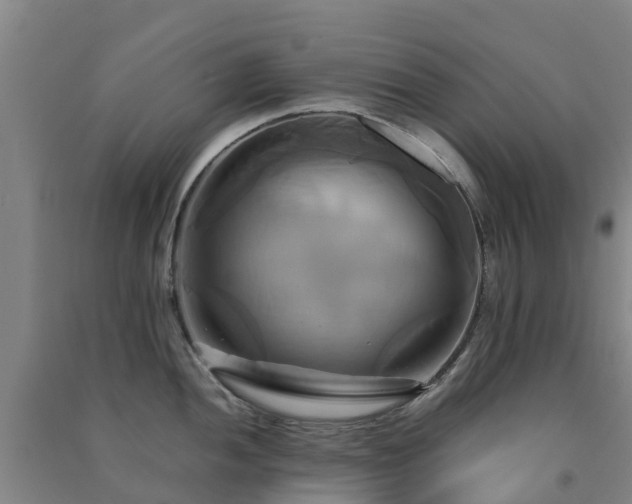 X0000091501052200708161455