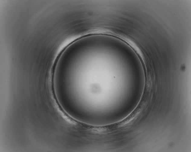 X0000091501053200708161455