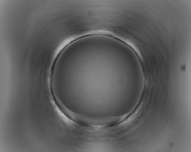 X0000091501054200708161455