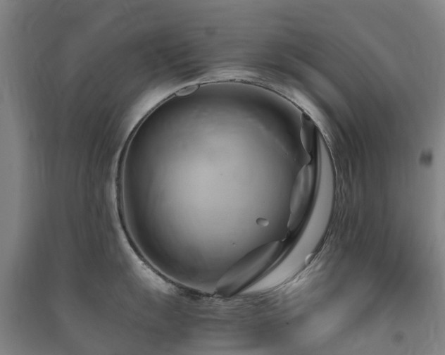 X0000091501055200708161455