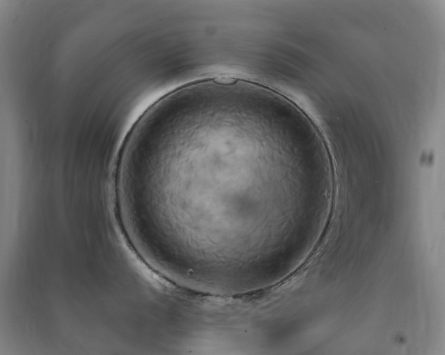 X0000091501056200708161455