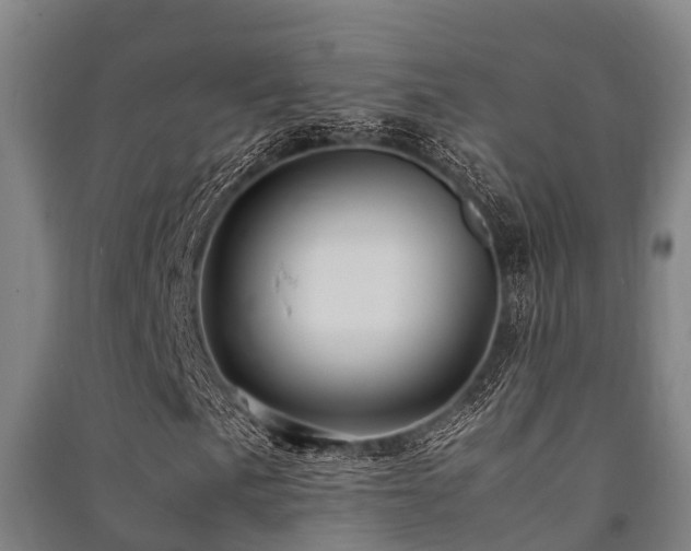 X0000091501057200708161454