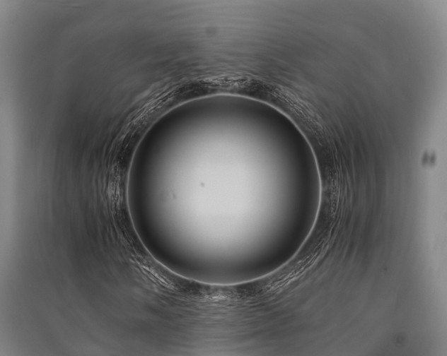 X0000091501058200708161454