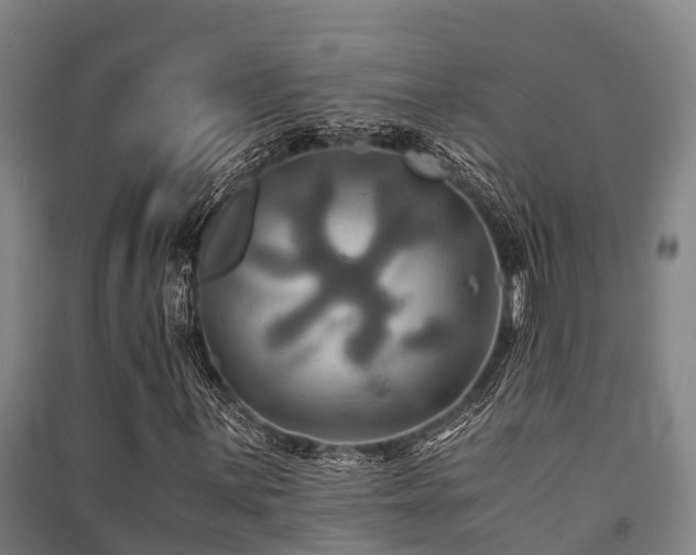 X0000091501059200708161454