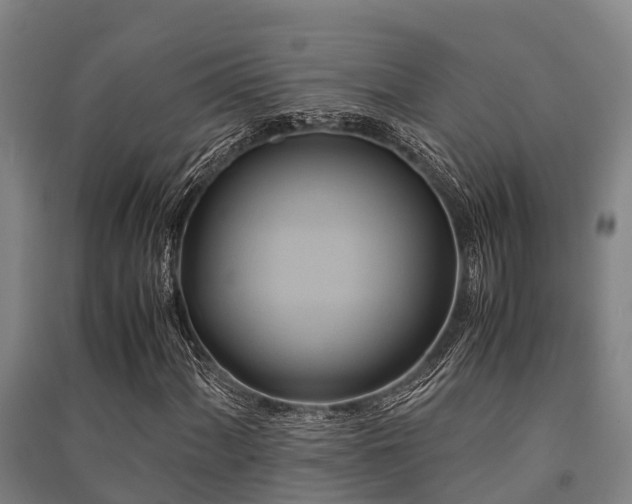 X0000091501060200708161454