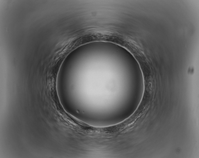 X0000091501061200708161454