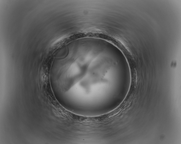 X0000091501063200708161454