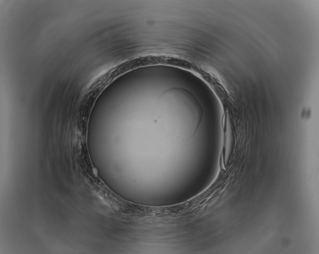 X0000091501064200708161454