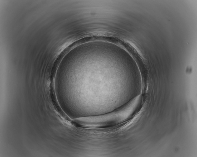 X0000091501065200708161454