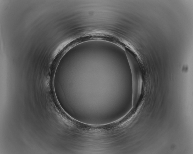 X0000091501066200708161454