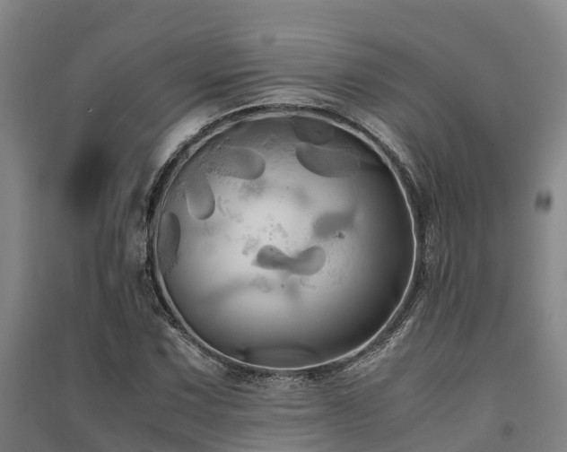 X0000091501067200708161454