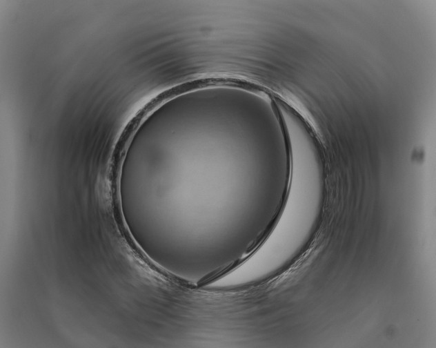 X0000091501068200708161454