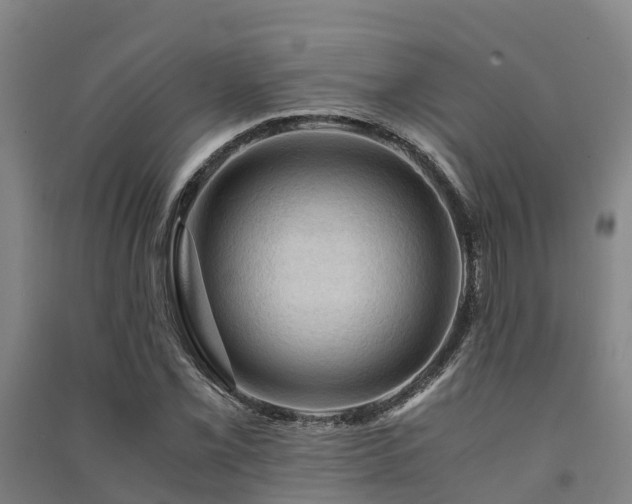 X0000091501069200708161454