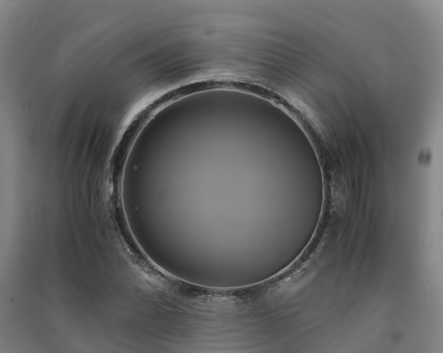 X0000091501070200708161454