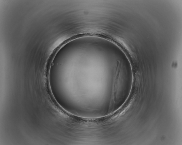 X0000091501071200708161454