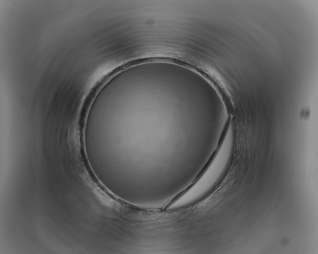 X0000091501072200708161454