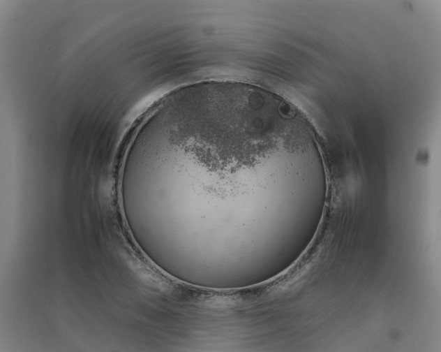 X0000091501074200708161454