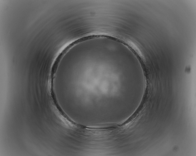 X0000091501076200708161454