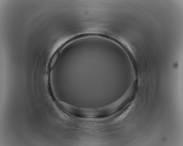 X0000091501077200708161454