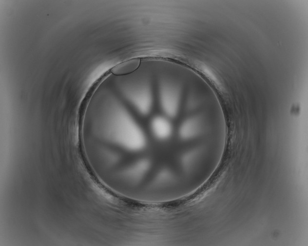X0000091501079200708161454