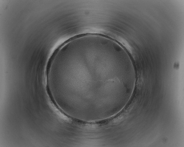 X0000091501080200708161454