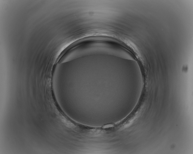 X0000091501081200708161454