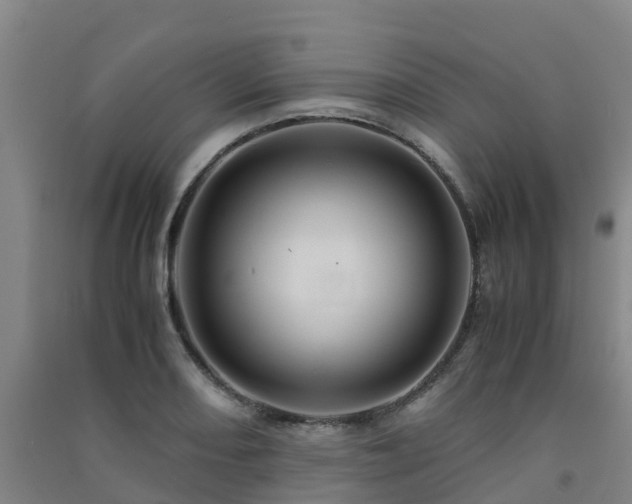 X0000091501082200708161454