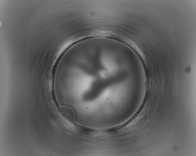 X0000091501083200708161454
