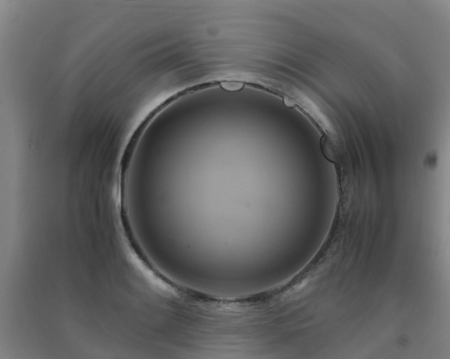 X0000091501084200708161454