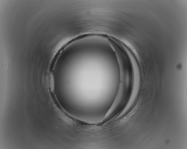 X0000091501085200708161454